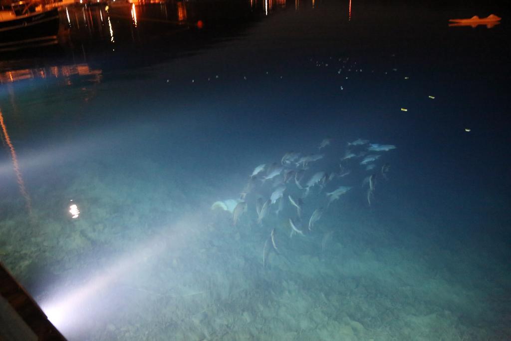 Dolphin Hotel Selimiye Kültér fotó